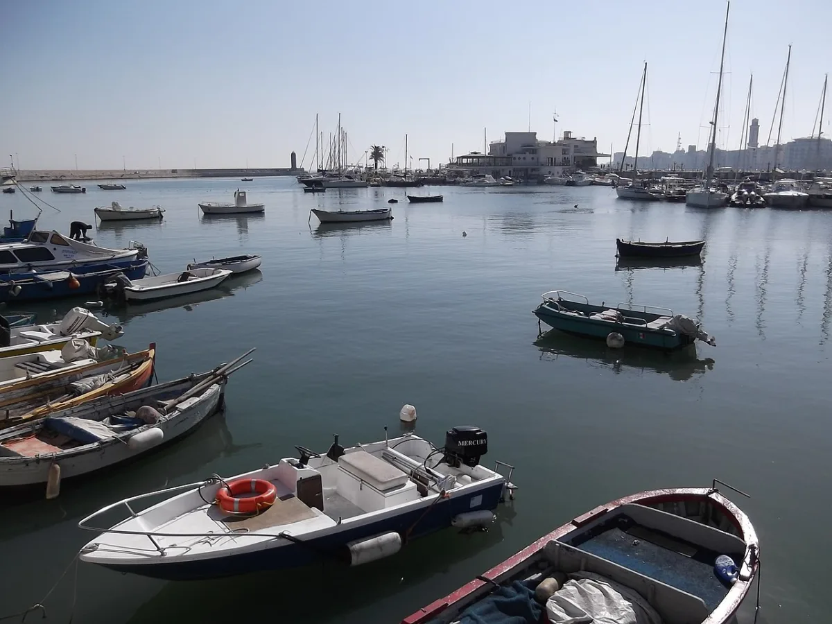Bari photo